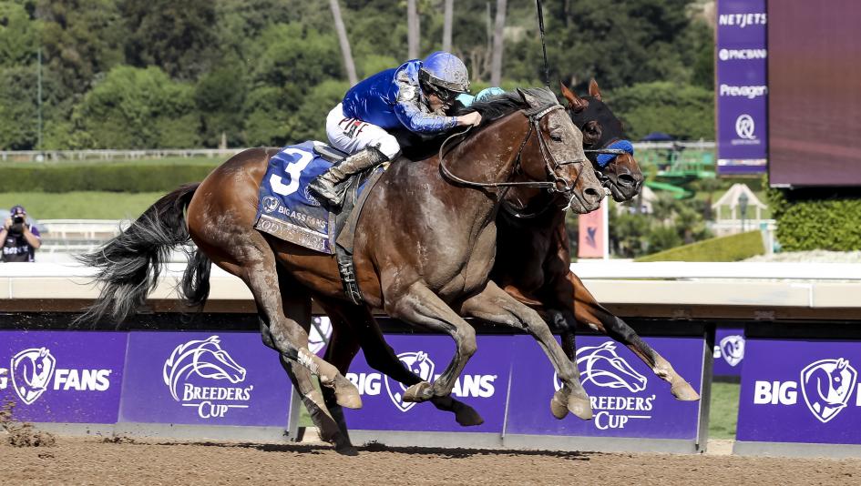 Cody’s Wish, Big Ass Fans Breeders’ Cup Dirt Mile, Santa Anita Park, Cody Dorman, Eclipse Sportswire Cody’s Wish, Big Ass Fans Breeders’ Cup Dirt Mile, Santa Anita Park, Cody Dorman, Eclipse Sportswire